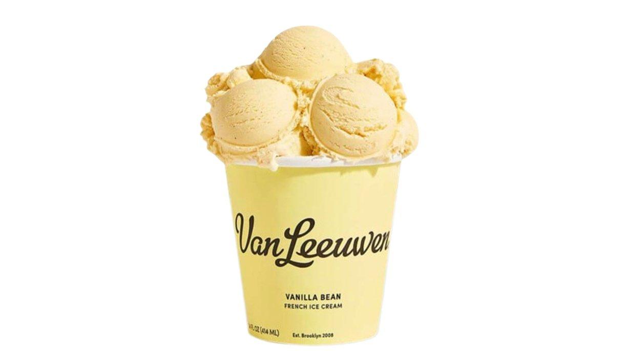 Van Leeuwen Ice Cream Vanilla Bean French Ice Cream (14 oz)