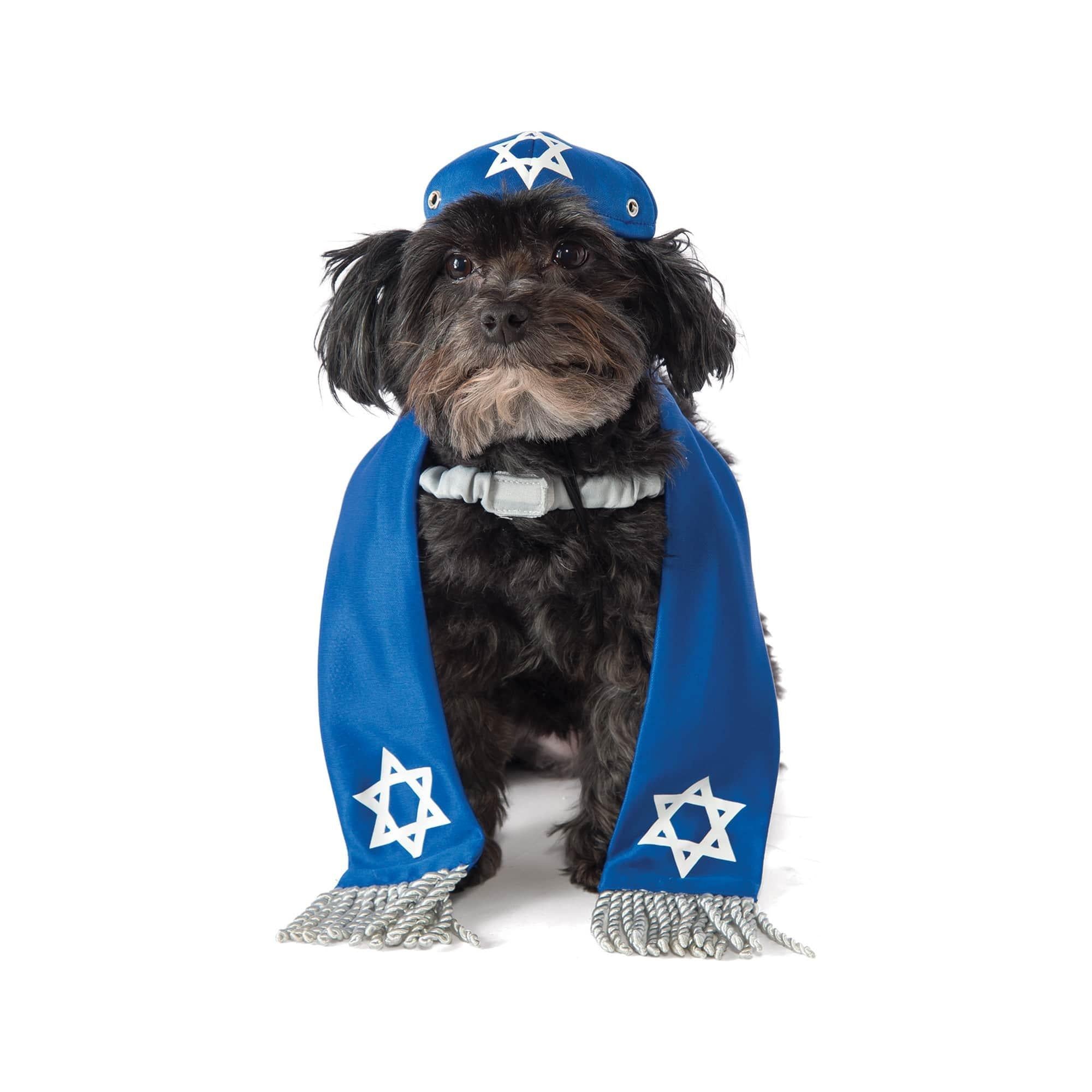 Yarmulke & Tallis Pet Accessories
